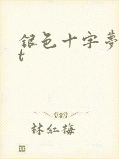 银色十字梦txt