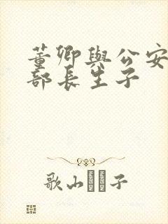 董卿与公安部副部长生子