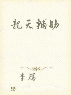 龙天辅助