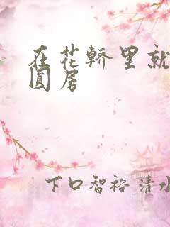 在花轿里就开始圆房