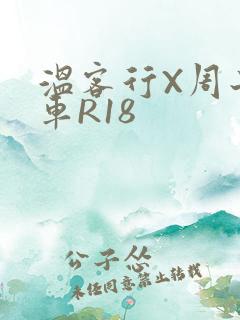 温客行X周子舒车R18