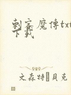 刺客魔传txt下载