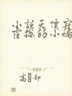 小说天价宠妻:霍总的小娇妻