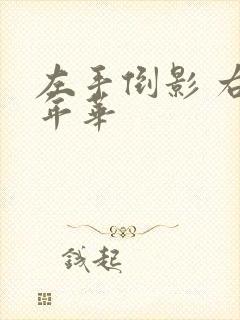 左手倒影 右手年华