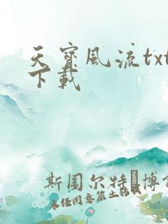 天宝风流txt下载
