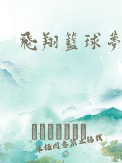 飞翔篮球梦下载