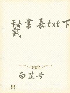 秘书长txt下载
