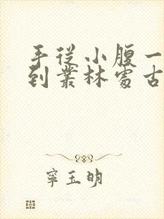 手从小腹一路开到丛林处古代