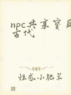 npc共享宝贝古代