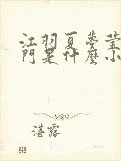 江羽夏梦莹神谕门是什么小说