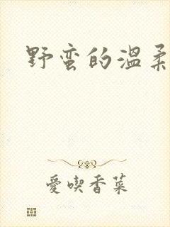 野蛮的温柔