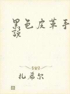 黑色皮革手册小说