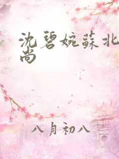 沈碧婉苏北宸和尚