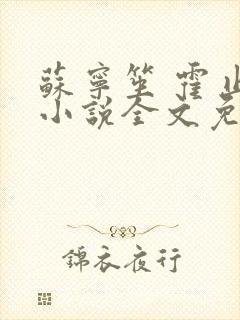 苏宁笙 霍止行小说全文免费阅读