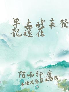 早上醒来发现巨龙还在