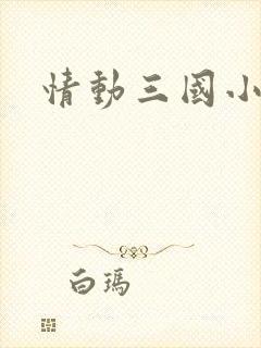 情动三国小说