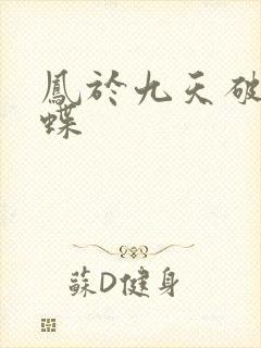 凤于九天破茧成蝶