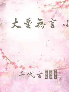 大爱无言 小说
