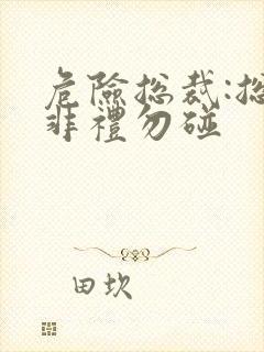 危险总裁:总裁非礼勿碰
