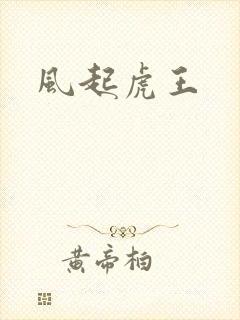 风起虎王