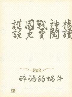 护国战神杨风小说免费阅读