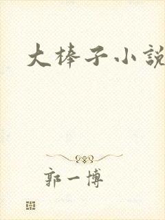 大棒子小说