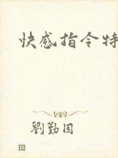 快感指令特别篇