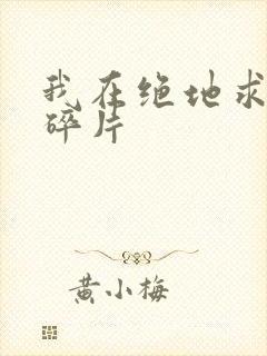 我在绝地求生捡碎片