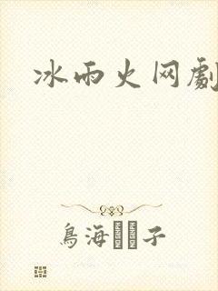 冰雨火网剧小说