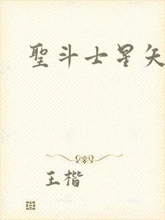 圣斗士星矢小说