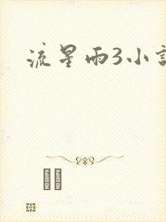 流星雨3小说