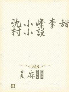 沈小峰李甜的乡村小说