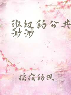 班级的公共玩具渺渺