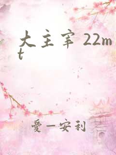 大主宰 22mt