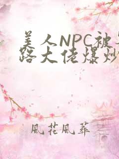 美人NPC被各路大佬爆炒小说
