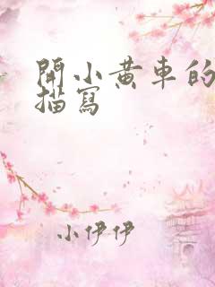 开小黄车的细腻描写