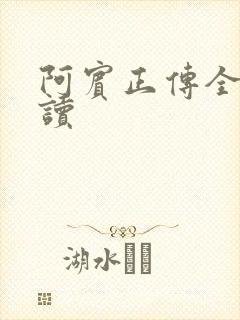 阿宾正传全文阅读