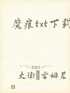 魔痕txt下载
