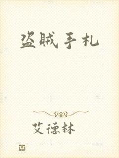 盗贼手札