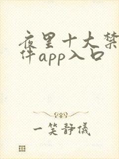 夜里十大禁用软件app入口