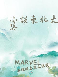 小说东北大炕全集