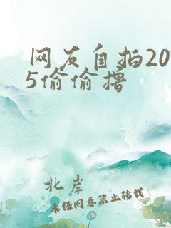 网友自拍2015偷偷撸
