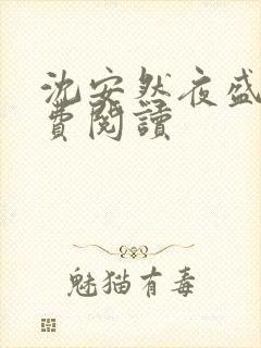 沈安然夜盛霆免费阅读