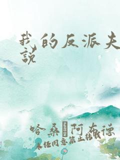 我的反派夫君小说