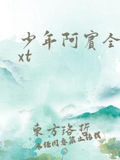 少年阿宾全集txt