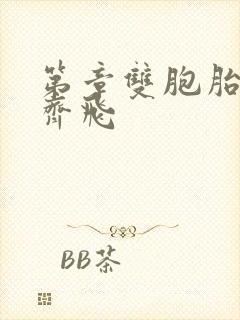 第章双胞胎姐妹齐飞