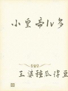 小皇帝1v多