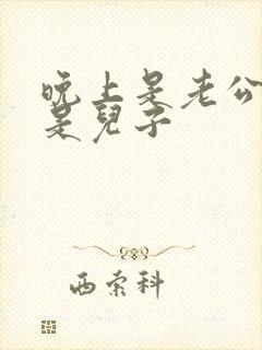 晚上是老公白天是儿子