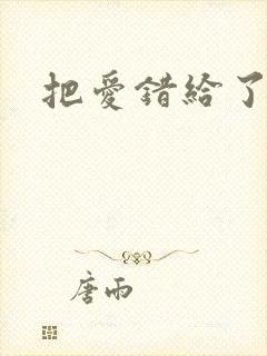 把爱错给了你