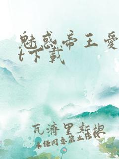 魅惑帝王爱txt下载